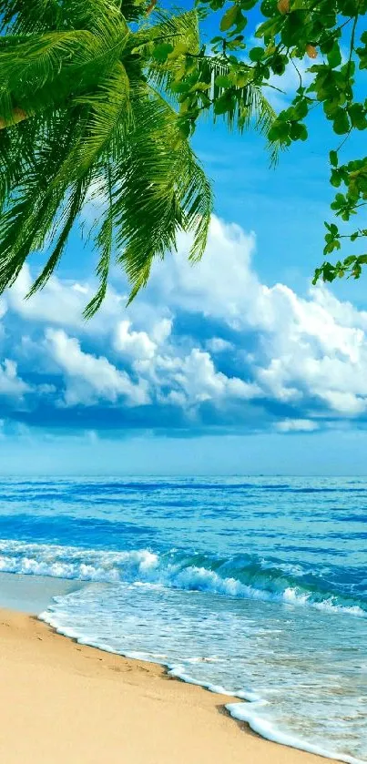 Tropical beach with palm trees, blue ocean, and sandy shore.