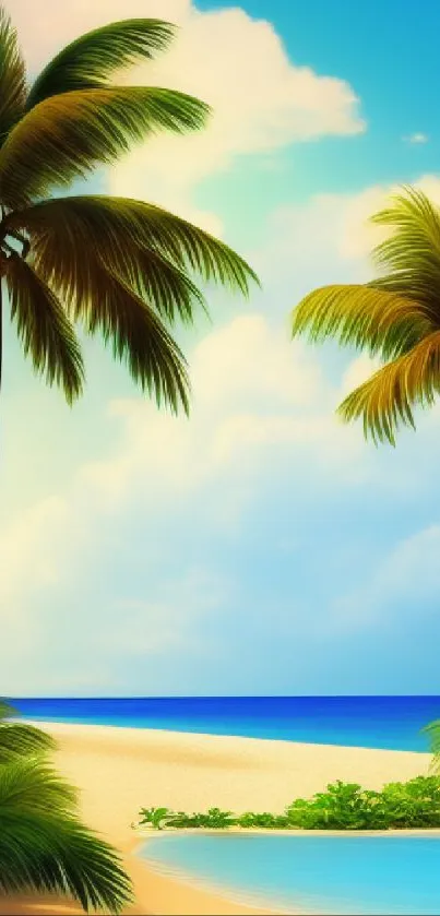 Tropical beach wallpaper with palm trees and blue sky.