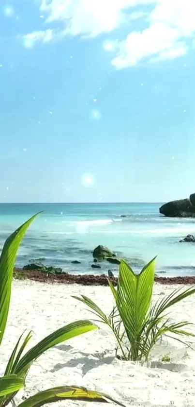 Tropical beach with clear blue water and lush greenery.