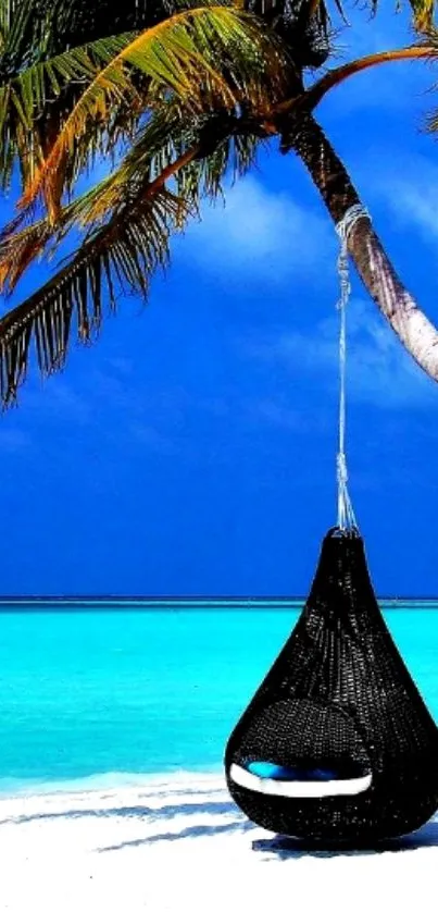 Tropical hammock under palm on beach with blue ocean.