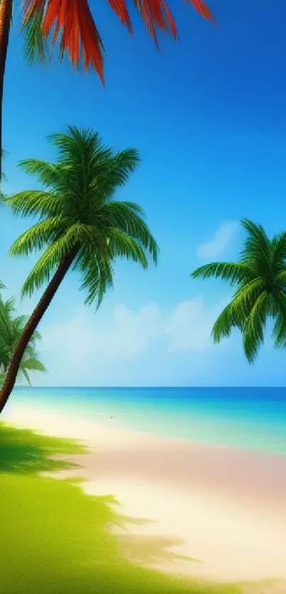 Serene tropical beach with palm trees and blue sky.