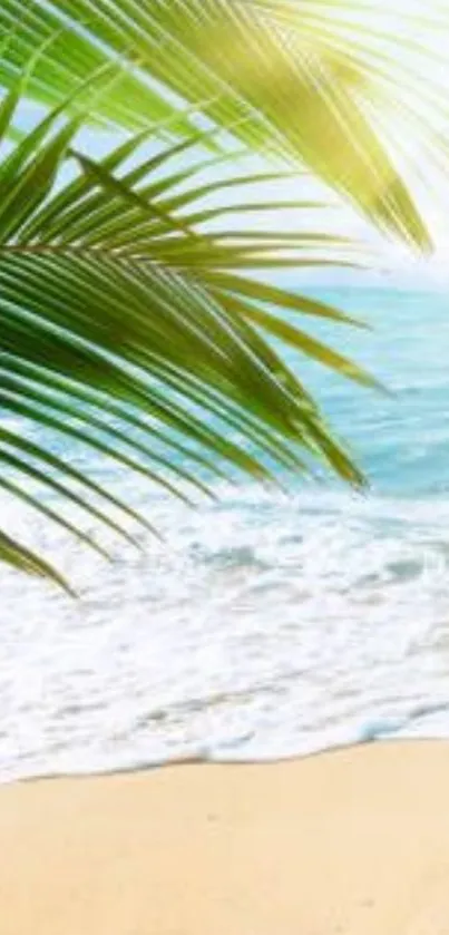 Tropical beach wallpaper with sunlit palms and blue ocean.