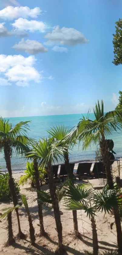 Tropical beach with palm trees, ocean, blue sky, and sun loungers in view.