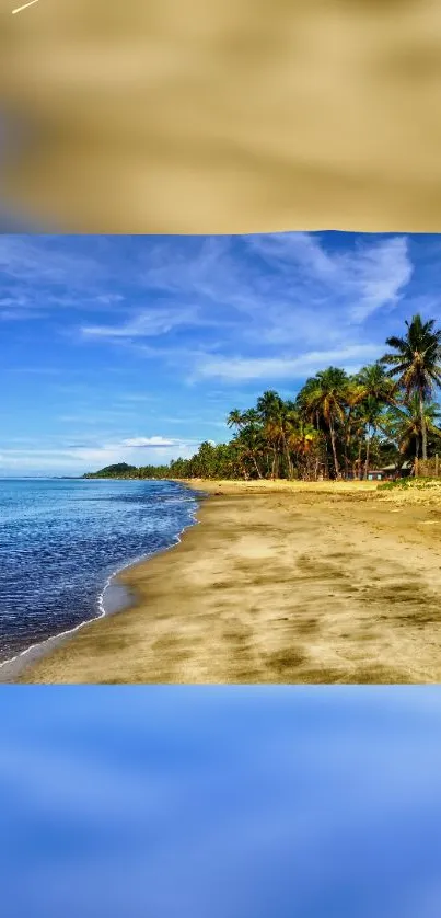 A tropical beach with palm trees and blue ocean under a sunny sky.