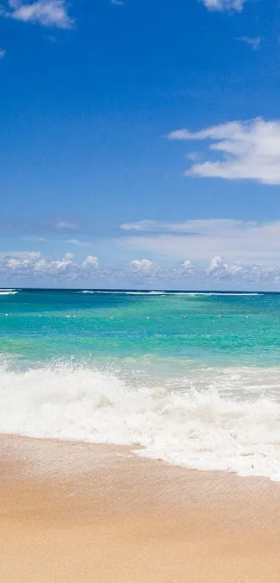 Tropical beach with turquoise ocean and blue sky background.