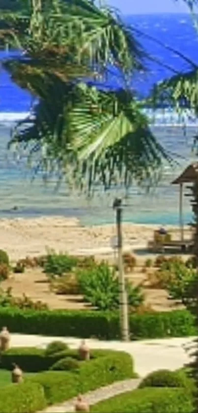 Palm trees and ocean view on a tropical beach wallpaper.