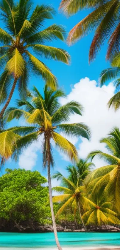 Palm trees on a tropical beach with turquoise ocean and blue skies.