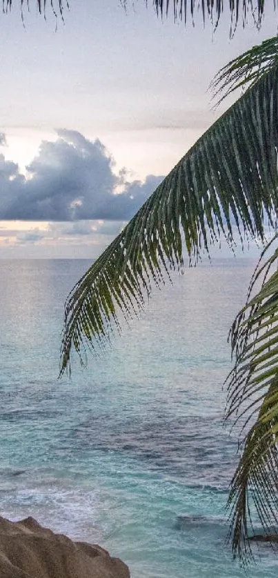 Serene tropical beach with palms and ocean waves at sunset.