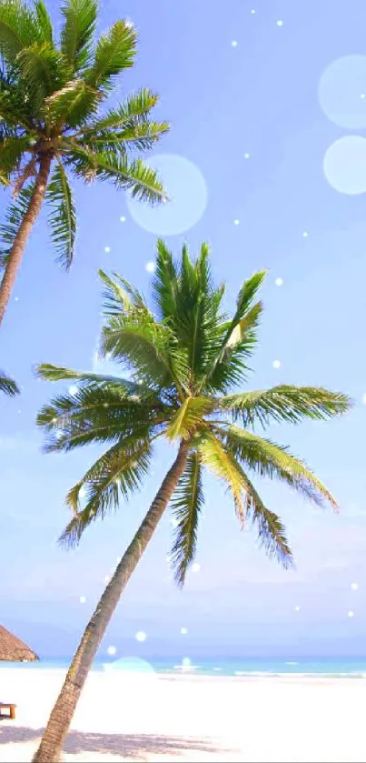 Tropical beach with palm trees and blue sky, serene mobile wallpaper.