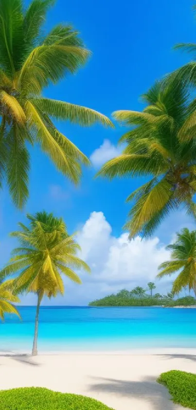 Tropical beach wallpaper with palm trees and vibrant blue ocean.