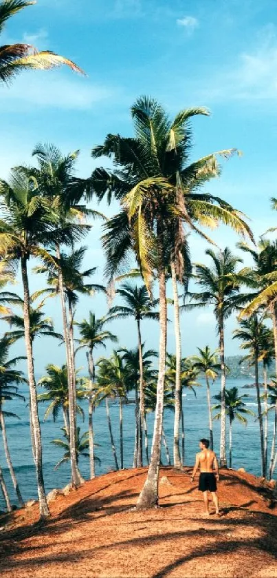 Tropical beach with palm trees and vibrant blue sky, perfect for mobile wallpaper.