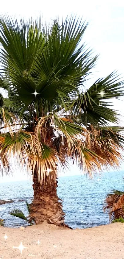 Palm tree on coastal beach with blue sea.