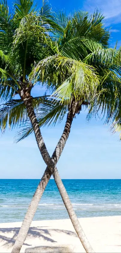 A serene tropical beach with palm trees under a bright blue sky and ocean backdrop.