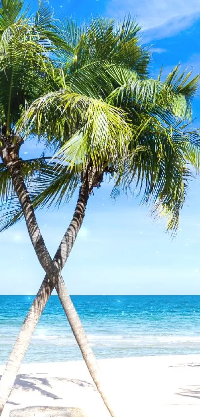 Crossed palm trees on a sunny tropical beach with blue sky and ocean.