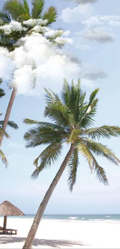 Tropical beach with palm trees under a bright blue sky on a sunny day.