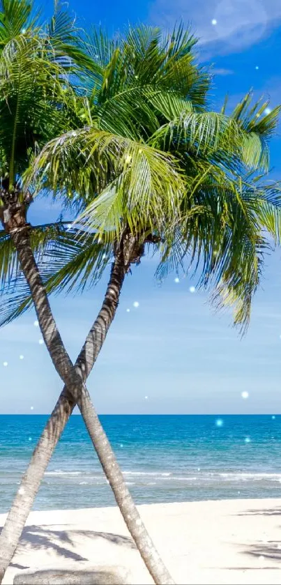 Tropical palm trees on a sandy beach with a bright blue sky.