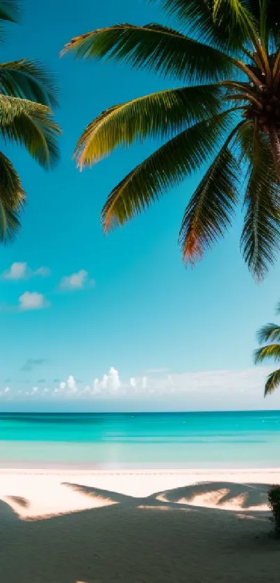 A serene tropical beach view with palm trees and turquoise ocean.