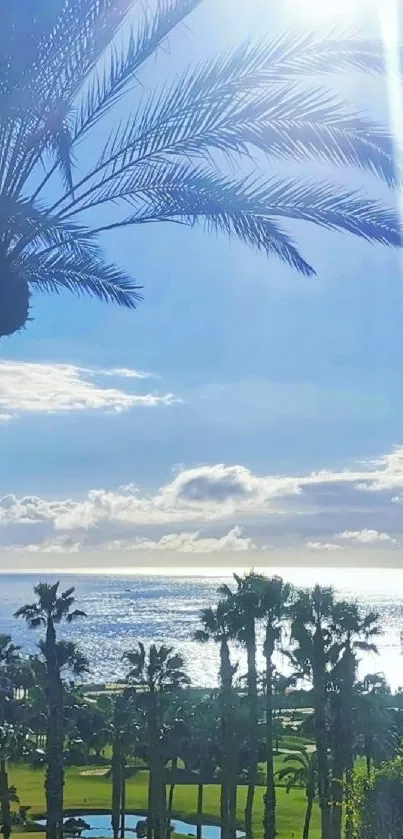 Tropical beach scene with palm trees under bright sunlight.