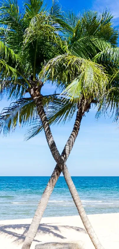 Two palm trees on a tropical beach with a vibrant blue sky.