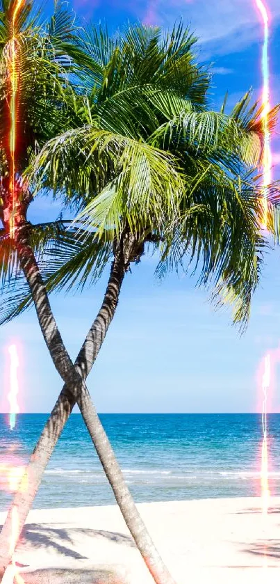 Tropical beach with palm trees and blue ocean under a clear sky.