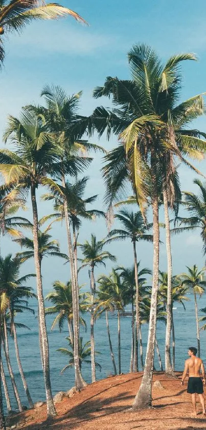 Tropical beach with palm trees and ocean view.