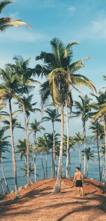 Scenic tropical beach with palm trees and blue ocean view.