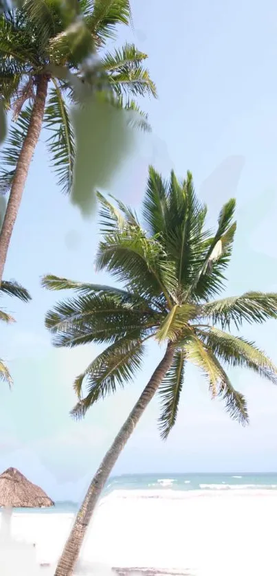 Palm trees against a tropical beach backdrop under a clear blue sky.