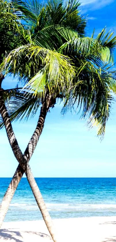 Mobile wallpaper with palm trees on a tropical beach under a bright blue sky.