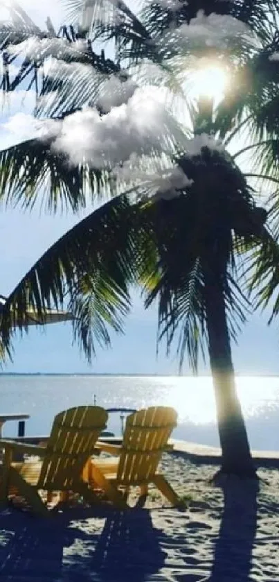 Tropical beach with palm tree and sunlit sky.