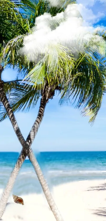 Tropical beach wallpaper with palms and ocean.