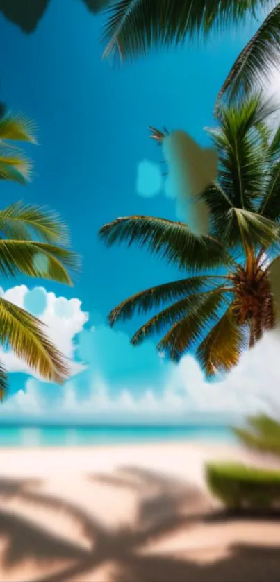 Tropical beach wallpaper with palm trees and blue sky.