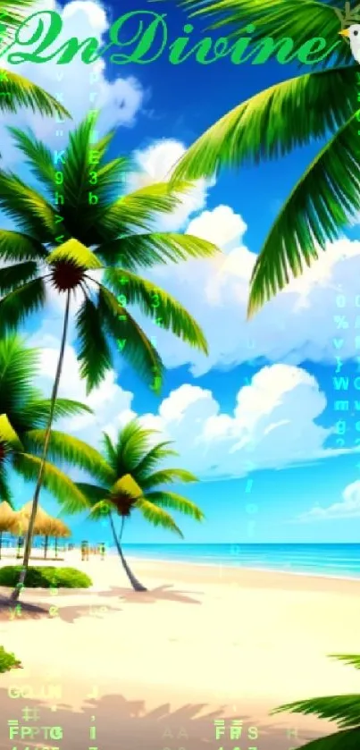 Beach with palm trees and blue sky wallpaper.