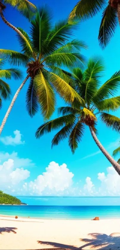 Tropical beach with palm trees and clear blue sky.