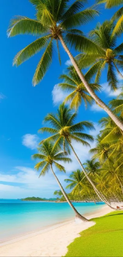 Tropical beach with palm trees and clear turquoise ocean under a blue sky.