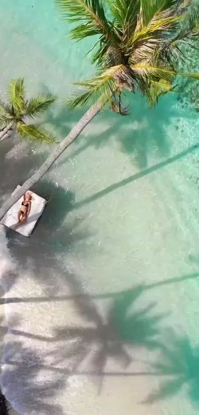 Aerial view of serene tropical beach with palm trees and turquoise water.