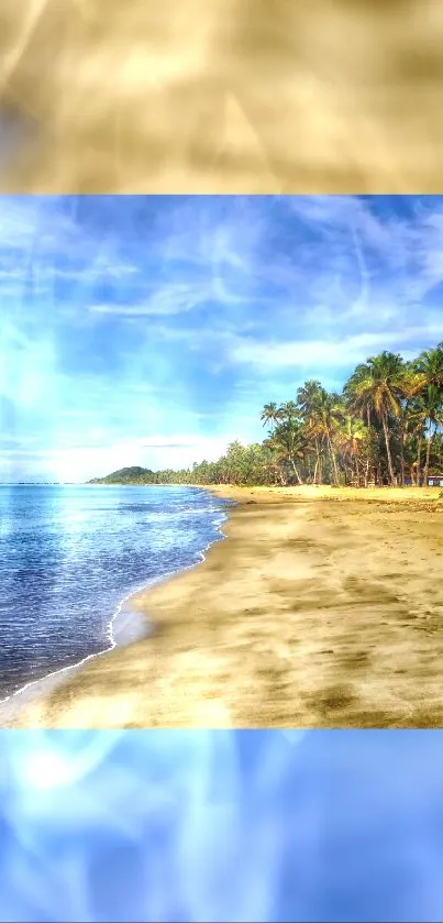 Tropical beach with blue sky and palm trees on a sunny day.