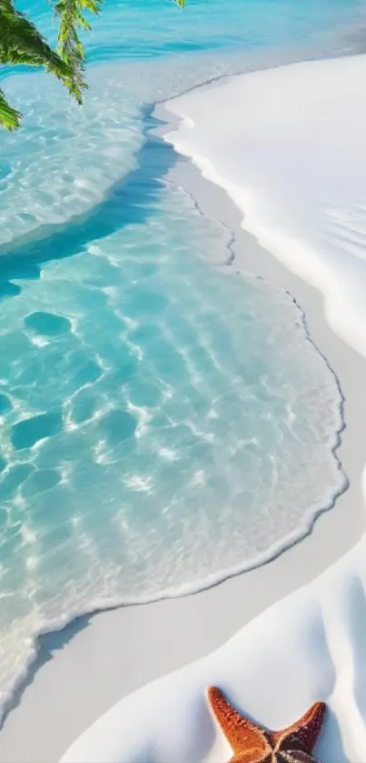 Tropical beach with turquoise waters and white sandy shore with a starfish.