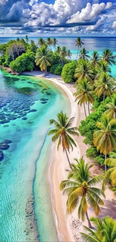 Tropical beach with turquoise waters and palm trees.