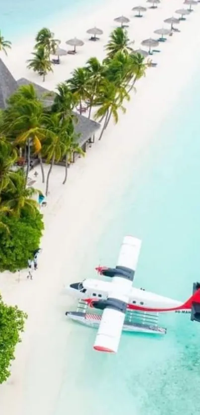 Tropical beach with a seaplane ready for takeoff, palm trees, and clear blue waters.