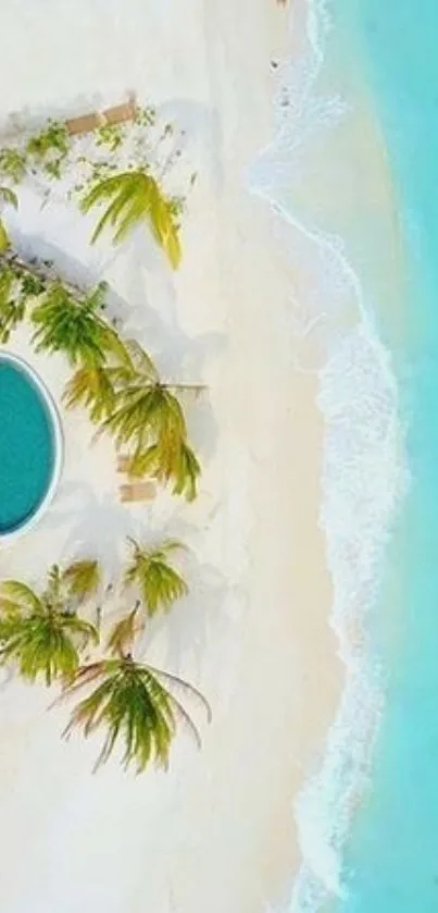 Aerial view of a tropical beach with turquoise waters and palm trees.