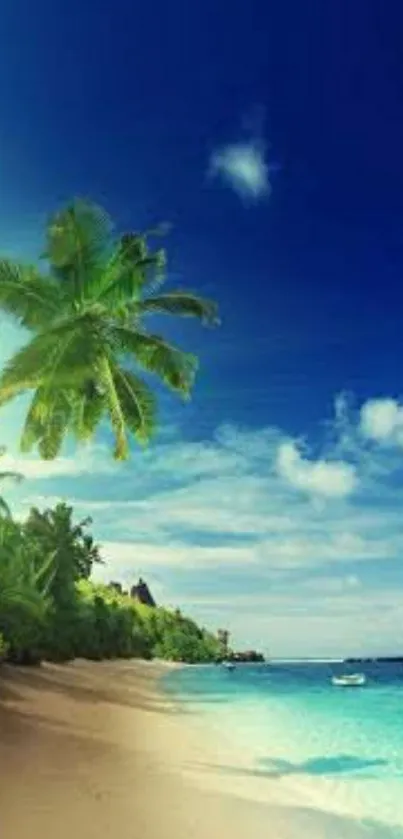 Tropical beach with palm trees and blue ocean in vibrant daylight.