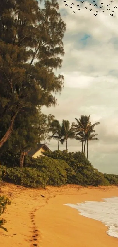 Serene tropical beach with palm trees and gentle ocean waves.