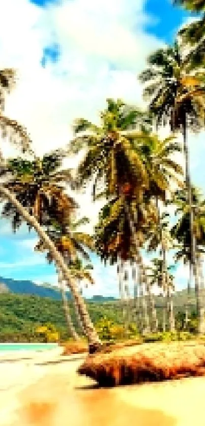 Tropical beach scene with palm trees and clear blue skies.
