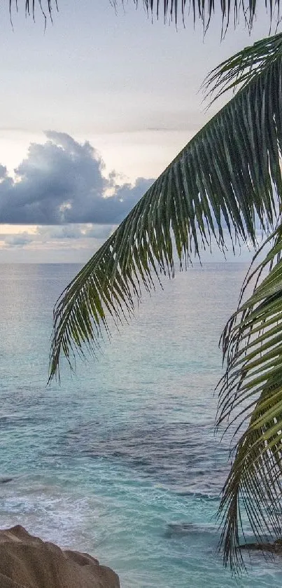 Tropical beach with palm trees and ocean view.