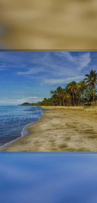 Blue sky beach with palm trees and ocean view, perfect for mobile wallpaper.