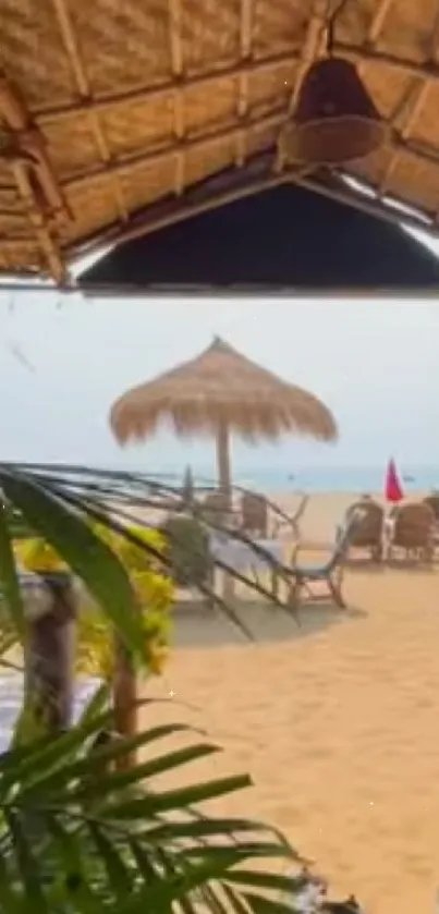 Tropical beach with straw umbrellas and coastal scenery.