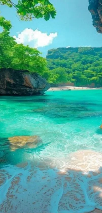 Tropical beach scene with turquoise waters and lush green trees.