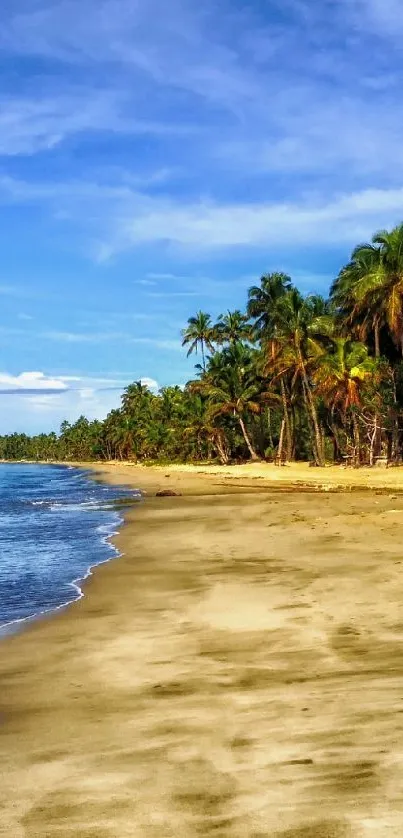 Scenic tropical beach with palm trees and blue sky, perfect for a mobile wallpaper.