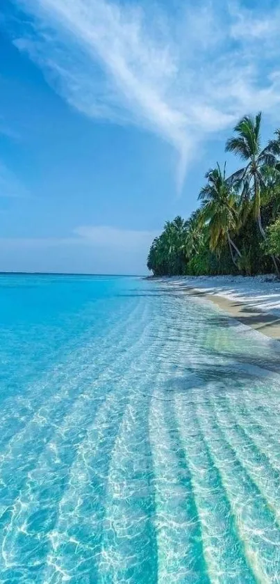 Tropical beach with clear water and palm trees under a vibrant blue sky.