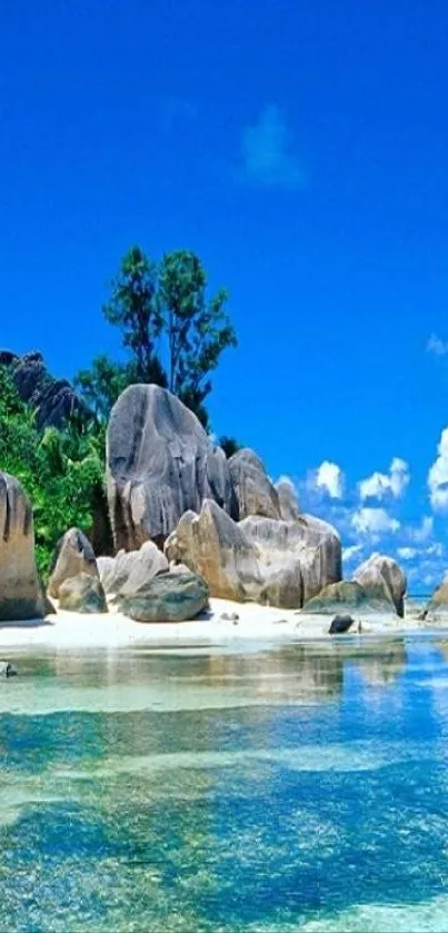 Tropical beach with clear waters and blue skies.